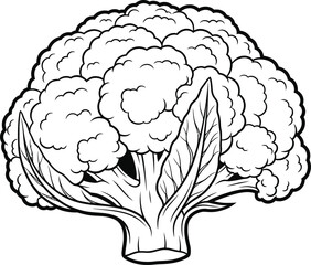 coliflower silhouette vector illustration, solid white background 