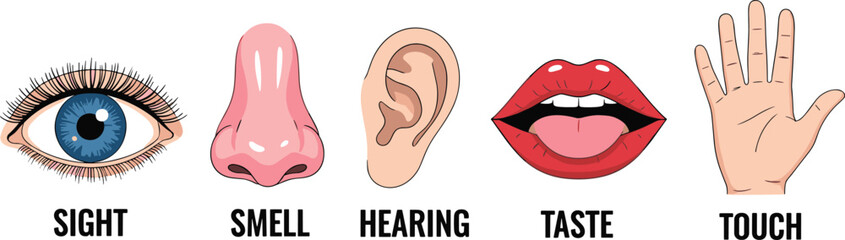 Obraz premium Five human senses icons set with eye nose ear mouth and hand for educational anatomy or medical biology projects