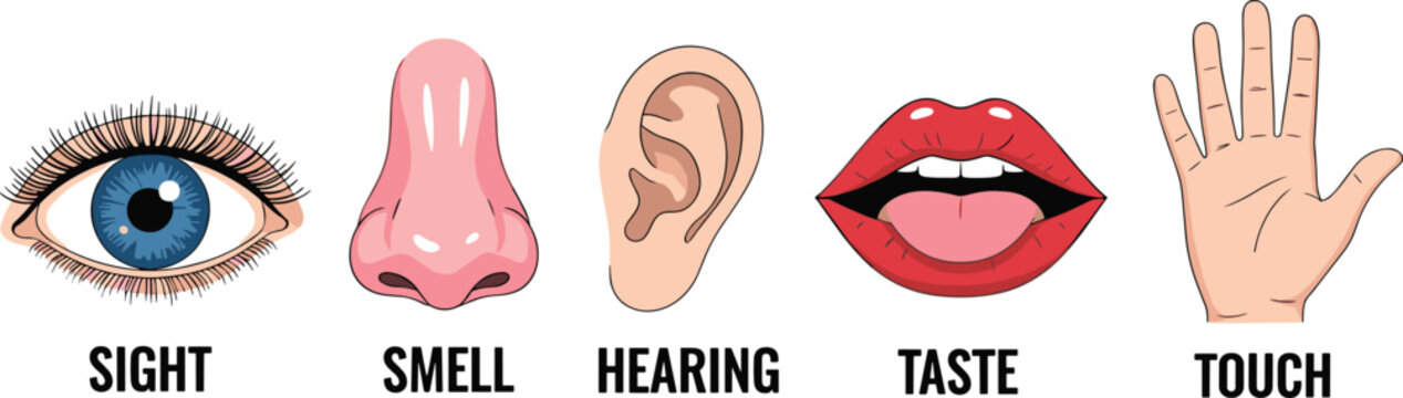 Five human senses icons set with eye nose ear mouth and hand for educational anatomy or medical biology projects