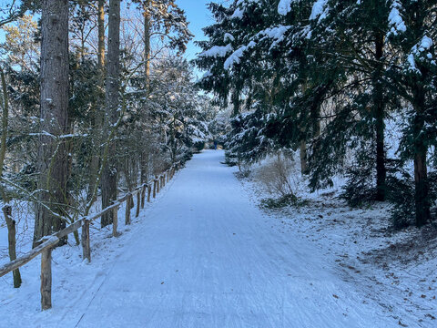 Snow covered foot path on a beautiful sunny Winter Day in Berlin Public Park Hasenheide with snow, sun and a blue sky. In Kreuzberg Neu-Koelln.