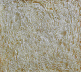 Fototapeta premium close up of bread