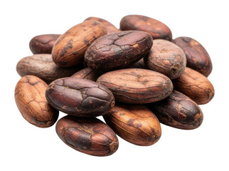 Fototapeta premium Harvesting cocoa beans in nature food view isolated on transparent background