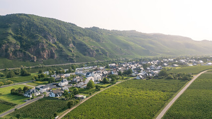 Erdener Prälat an der Mosel Lanschaft mit Weinbergen und Dorf Erden im Vordergrund