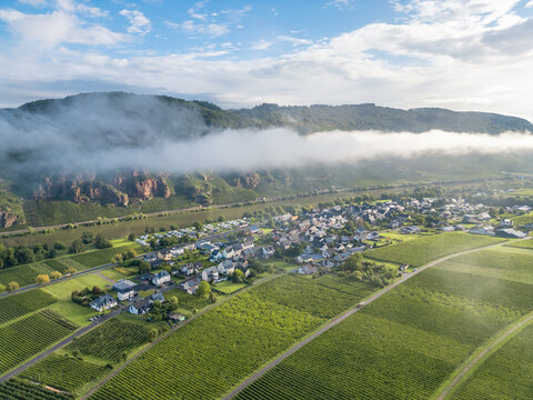 Erdener Pr&auml;lat an der Mosel Lanschaft mit Weinbergen und Dorf Erden im Vordergrund