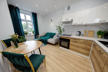 Salon w nowoczesnym apartamencie w zielonej tonacji kolorystycznej © arteffect.pl