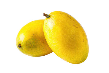 Fototapeta premium Two ripe, golden yellow mangoes, close-up