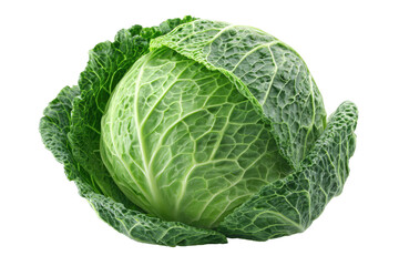 Close-up of a fresh green savoy cabbage