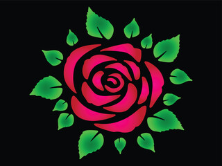 Pink Rose Flower Illustration with Green Leaves on Black Background, Floral Icon Vector