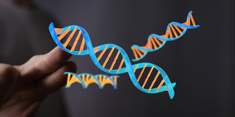 Artistic rendering of DNA helix structures, symbolizing genetics, science, and medical research. A conceptual