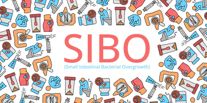 SIBO (Small Intestinal Bacterial Overgrowth) background. Includes intestines, gut bacteria, common symptoms, diagnostic breath tests, treatment, and dietary management.