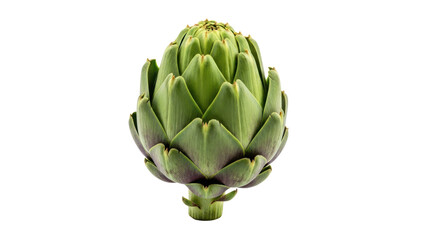 Obraz premium Fresh Artichoke Vegetable Isolated on Transparent Background PNG Cutout