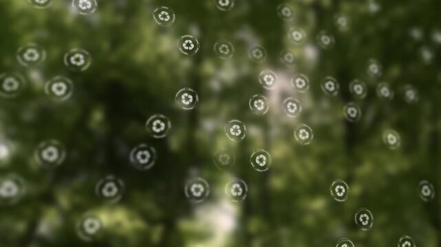 Small floating recycle symbols over a blurred green nature background, representing sustainability, recycling, environmental awareness, and eco-friendly concepts. Seamless looping.