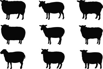 Set of 9 sheep silhouette icons with varied wool textures and poses, ideal for farming, textile, and breed designs. © Sihab Creatives