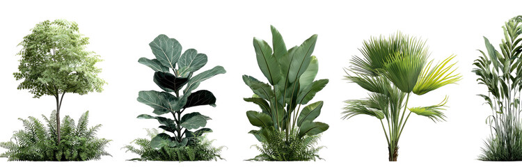 Group of various plants, different leaf shapes and sizes