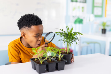 African American boy in orange shirt examining seed tray and plant pot using magnifier in classroom