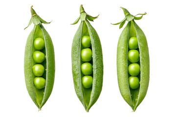 Three fresh green pea pods, split open, revealing round, plump peas inside