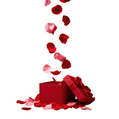 Red gift box with falling rose petals isolated on transparent background