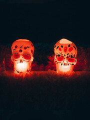 dia de los muertos skulls