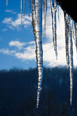 Vertical close-up of long frozen icicles with sun shining through