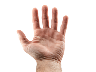 Open human hand with palm facing forward and natural skin texture, isolated on transparent background.
