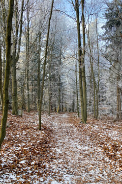 A frosty winter hike to Tomasovsky view, a stunning rock formation offering breathtaking vistas in Slovensky Raj National Park, Slovakia
