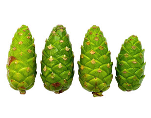 Naklejka premium Four vibrant green conifer cones on a stark black background, showcasing intricate scale patterns