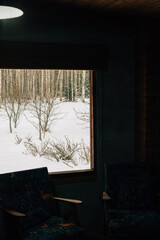 View of birch trees through the window in winter