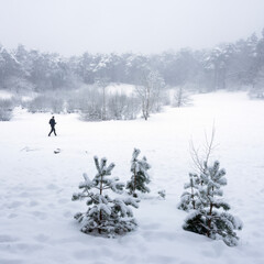 snow in forest near utrecht at frozen pond of heihuis in Den Treek Henschoten with lonely man