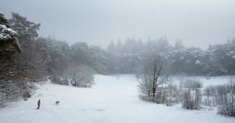 woman walks her dog in snowy forest near utrecht at frozen pond of heihuis in Den Treek Henschoten