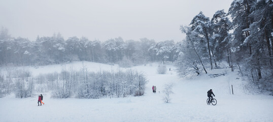 people walk their dogs in snowy forest near utrecht at frozen pond of heihuis in Den Treek Henschoten