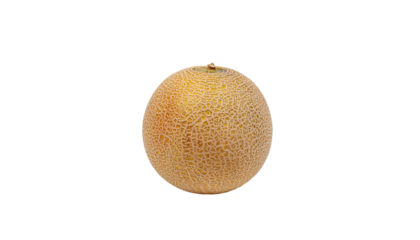 A single oval shaped fruit with a stem and a mottled tan surface is centered in the frame, casting a faint shadow on white and transparent