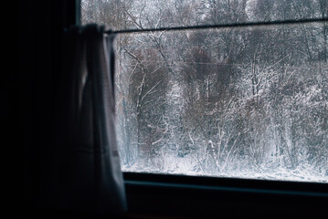 A view of a snowy forest through a train window