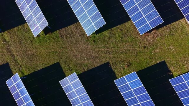 Rows of solar panels are arranged on a field with grass patches in between. This site is part of a renewable energy project that collects sunlight.