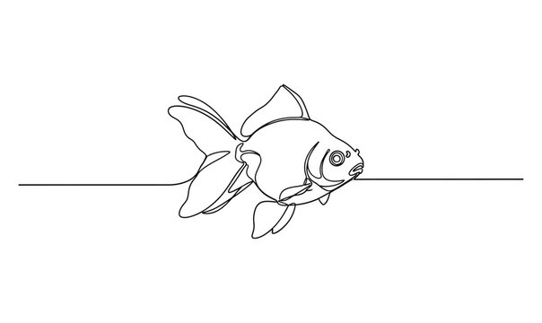 One of the cute fish is the goldfish_26