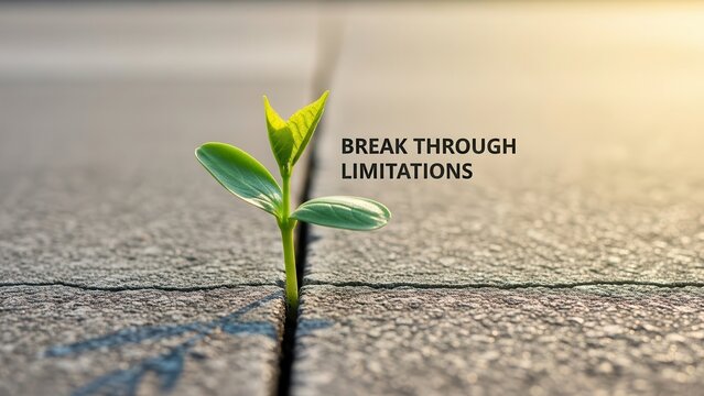 Sprout Breaking Through Concrete Ground