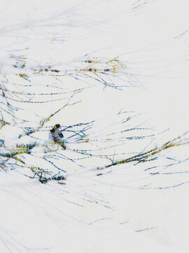 abstract blue background