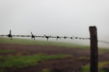 Barbed Wire in Foggy Morning Close Up