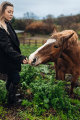 Young Woman with Horse in Autumn Nature