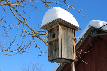 Birdhouse sits under snow in winter, surrounded by trees and clear blue sky near a cabin