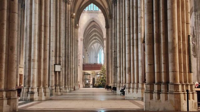 Gothic Cathedral Interior With Tall Stone Columns, Arched Vaults and Christmas Tree in Historic European Church