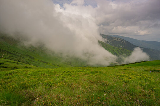 View of a vibrant green meadow leading towards misty mountain slopes under a cloudy sky, capturing the essence of nature's beauty, Nizke Tatry, Zilinsky kraj, Slovakia.