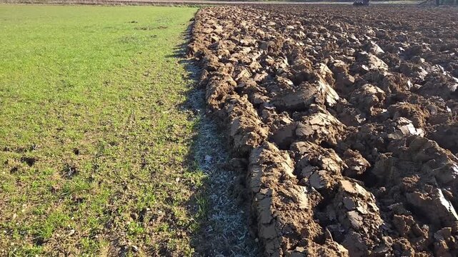 Labour dans un paysage d'hiver, champ agricole