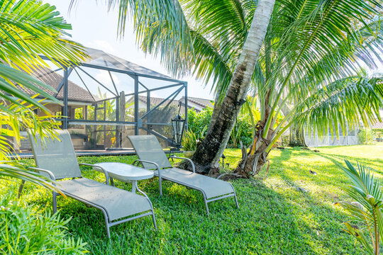 View of sun-drenched lounge chairs inviting relaxation under the shade of a leaning palm tree, beside a screened enclosure, Boca Raton, Florida, United States.