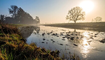 Misty Morning River Landscape with Trees and Reflections.