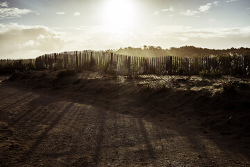 Zaun an der K&uuml;ste. D&uuml;nen im Sonnenuntergang