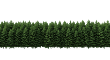 a hyperrealistic flat lay of a perfect, dense horizontal treeline of emerald green firs and spruces against a seamless matte transparent background, concept of architectural nature visualization