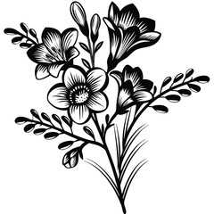 Floral Illustration of Freesia Flowers, Hand-Drawn Botanical Line Art Vector