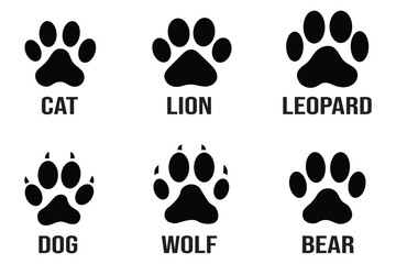 Fototapeta premium animal paw print Vector illustration.