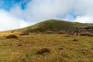 View to famous Fanal forest in Madeira