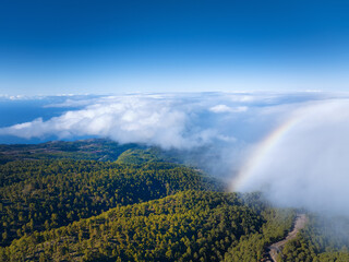 Aerial view from Roque de los Muchachos above cloud inversion and forested landscape, La Palma, Canary Islands, Spain